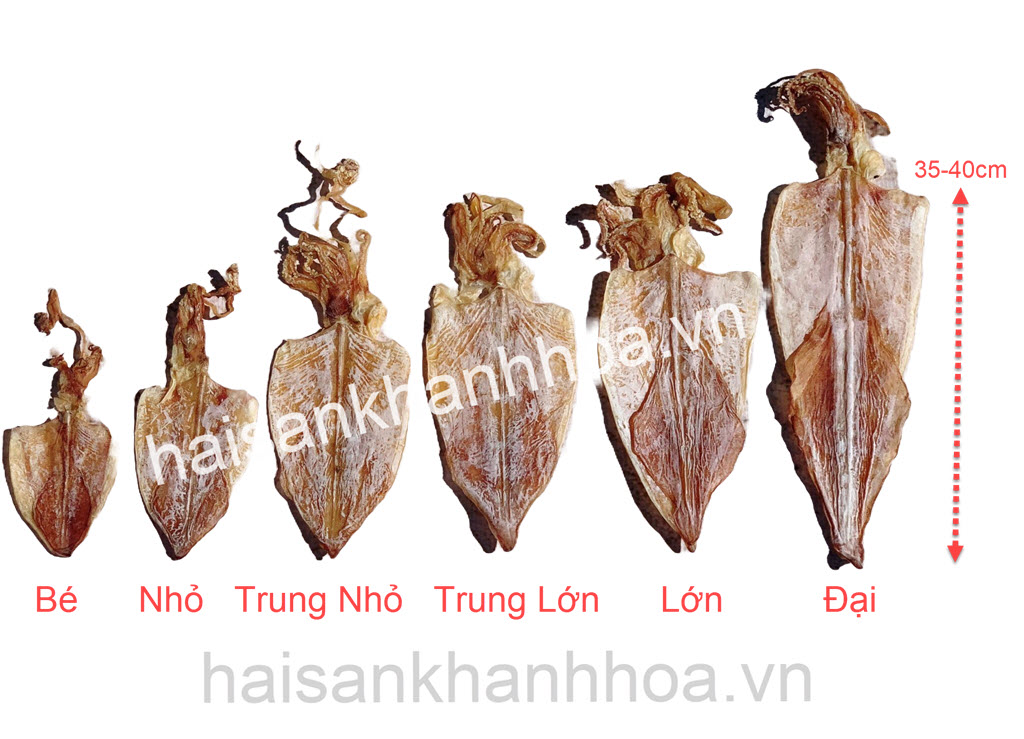 c&aacute;c size mực kh&ocirc;