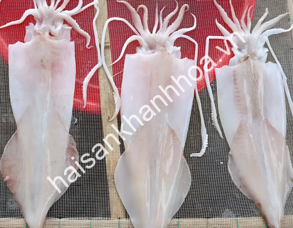 chế biến mực kh&ocirc;