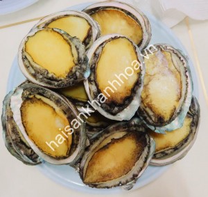 Bào ngư Hàn Quốc