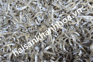 Hải sản Khánh Hoà, chuyên hải sản khô, đặc sản Nha Trang