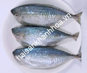 Cá bạc má 1 nắng