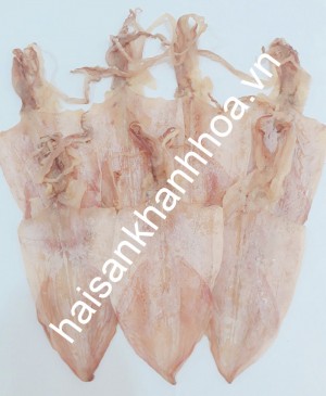 Mực khô câu (trung nhỏ)