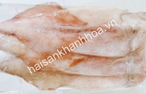 Mực câu một nắng (ống)